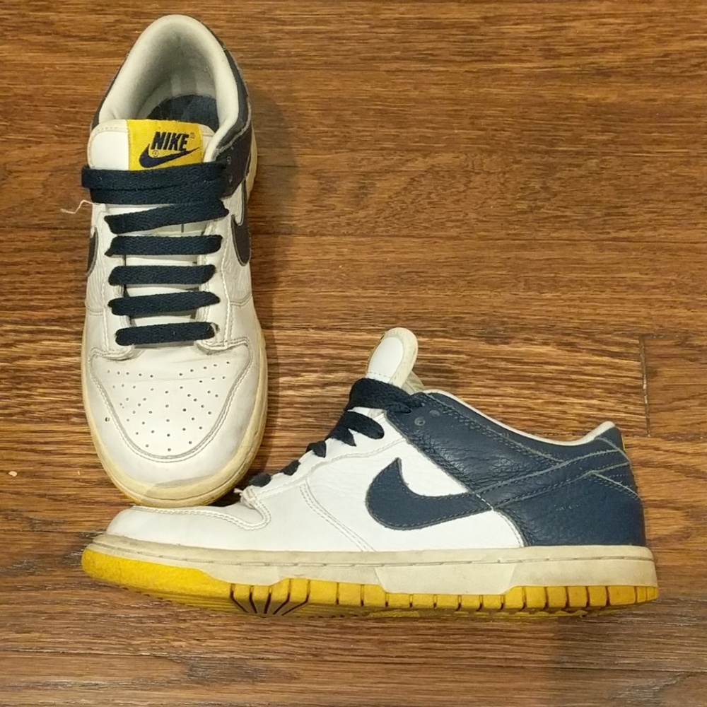 Nike low top Dunks